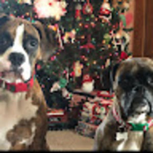 Meet your Posher, Stacy